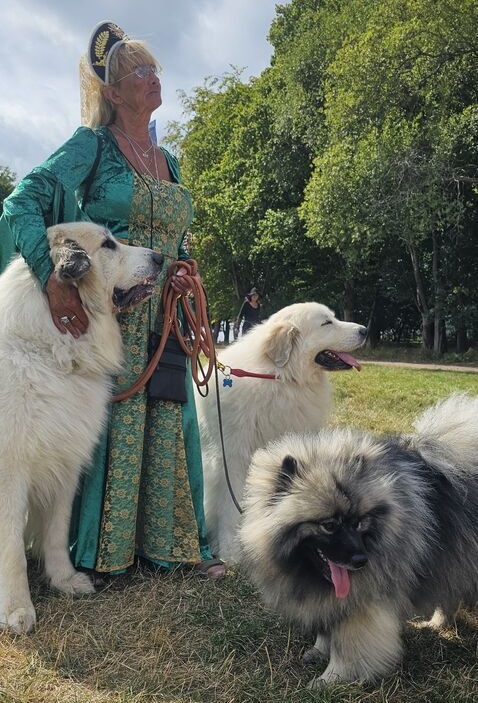 Dog-friendly festival atmosphere at EMF - King's Grove