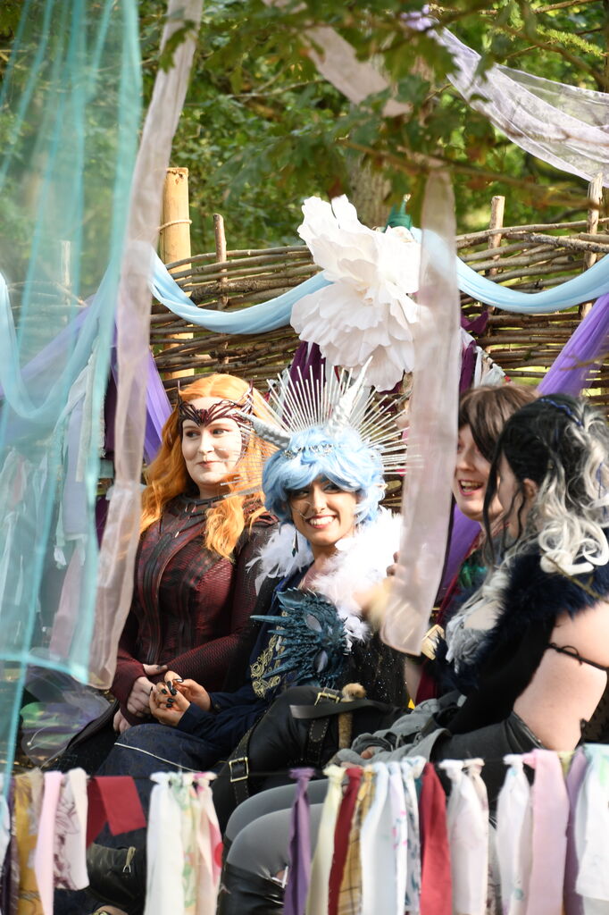 EMF - King's Grove Festival photo