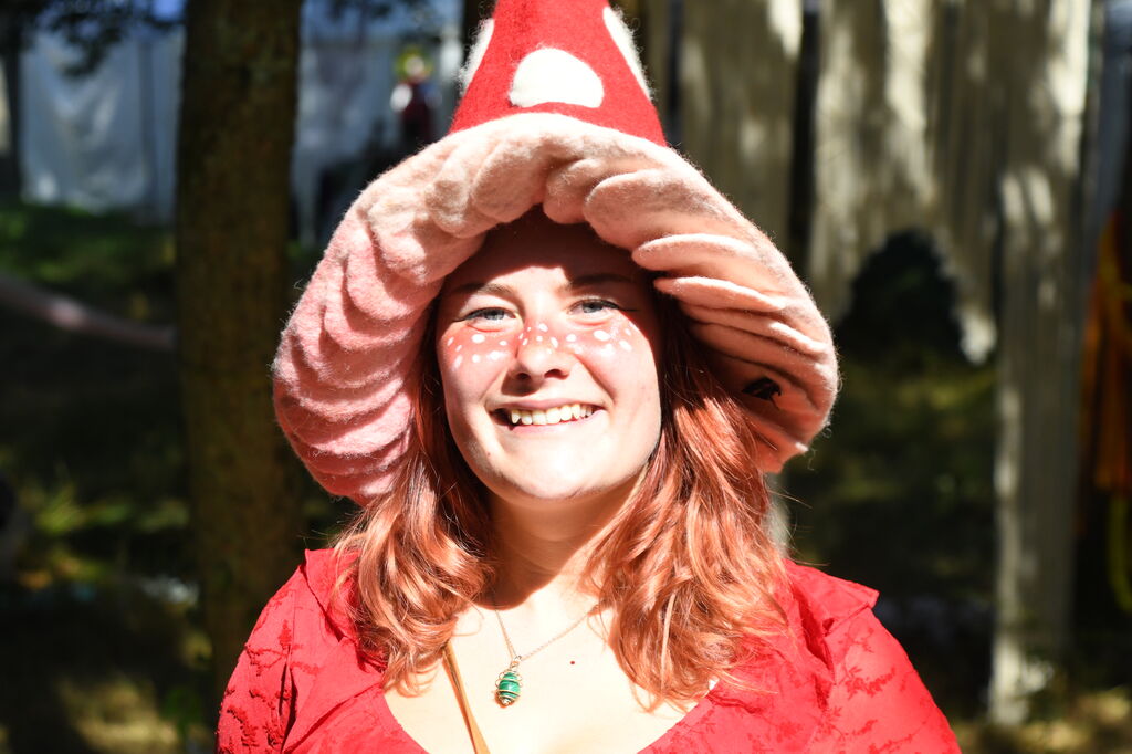EMF - King's Grove Festival photo