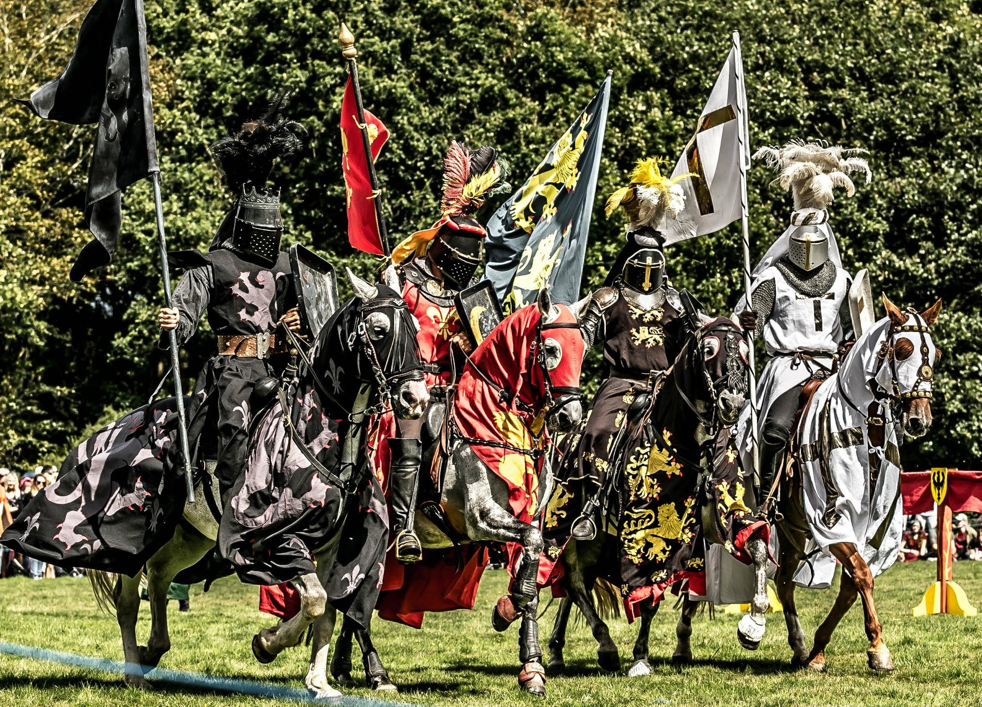 EMF - King's Grove Festival photo