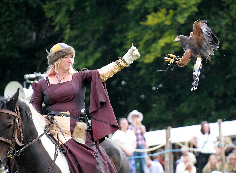 Shows at EMF - King's Grove